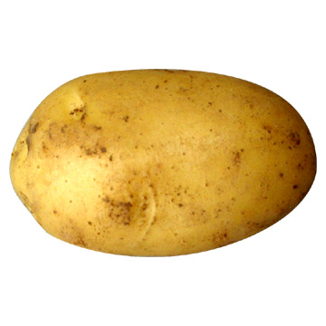 image: Potato.jpg