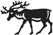 image: Deer 2