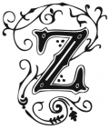 image: Typecase: Z