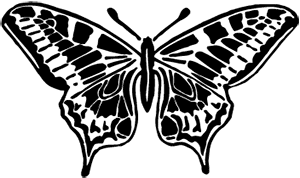 image: Butterfly