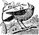image: Bird on branch