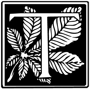 image: T leaves