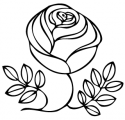 image: Czeschka rose