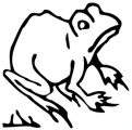 image: Frog