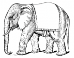 image: Elephant