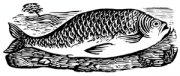 image: Fish woodcut