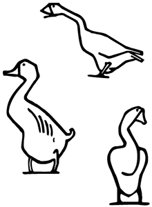 image: Geese