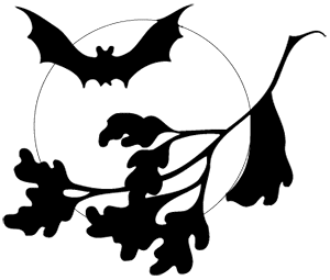 image: Halloween bat