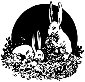 image: Inland Rabbits